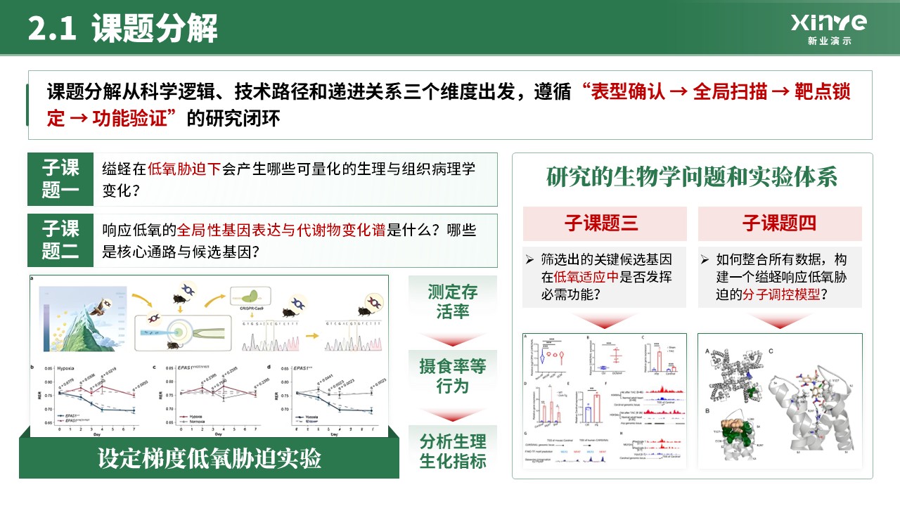 全国大学生生命科学竞赛(分子调控机理研究) 第6页预览图