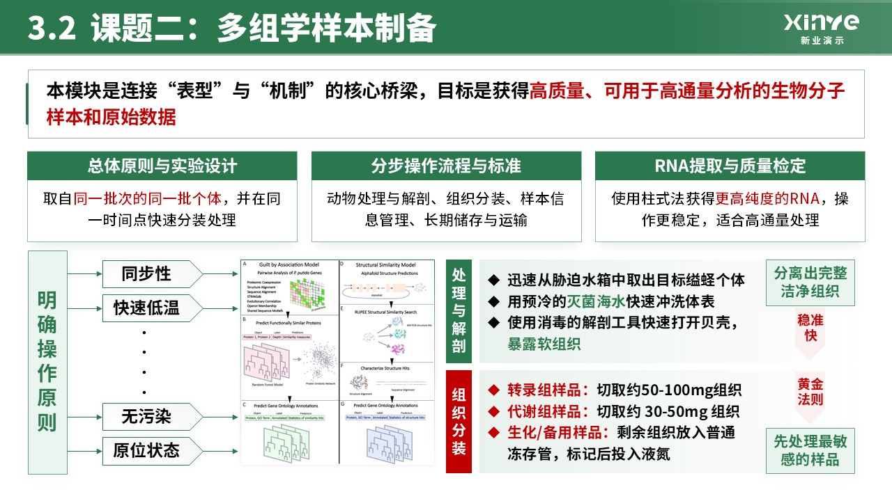 全国大学生生命科学竞赛(分子调控机理研究) 第10页预览图