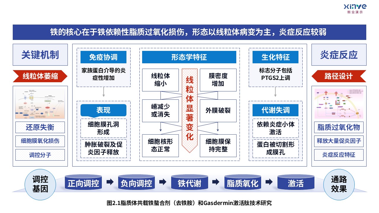 3-1损伤相关分子模式第2页预览图