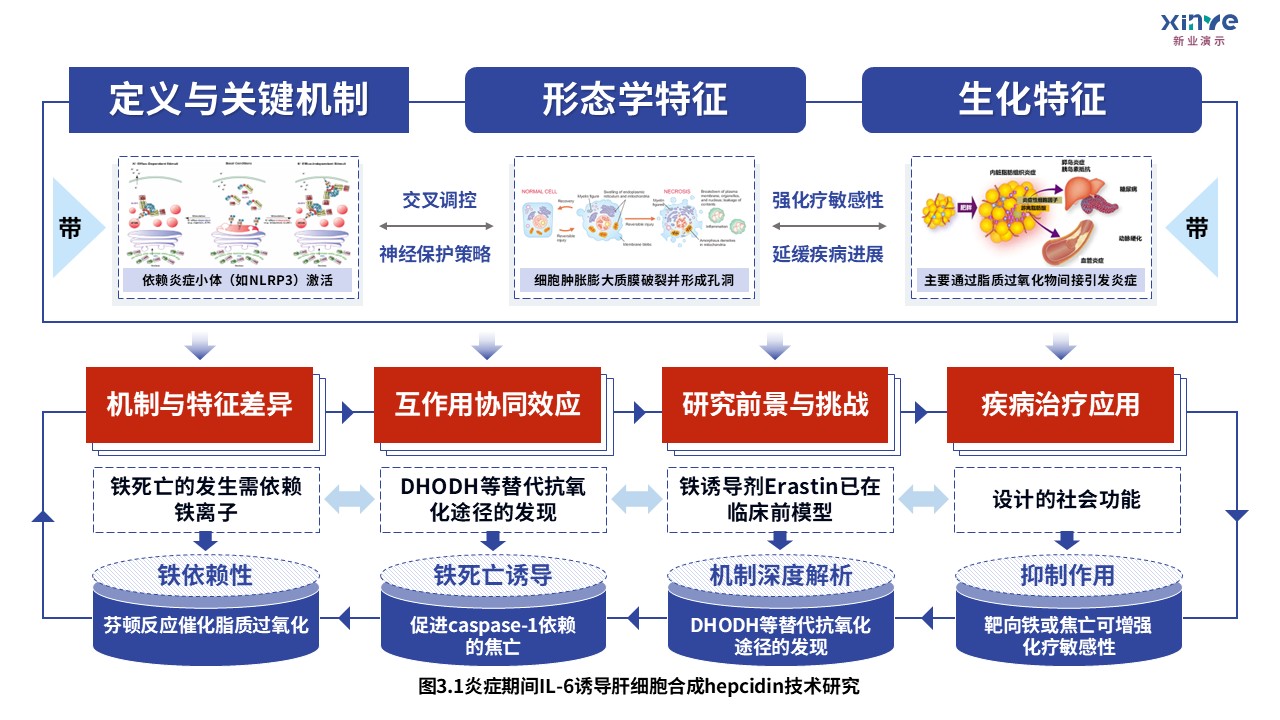 3-1损伤相关分子模式第3页预览图