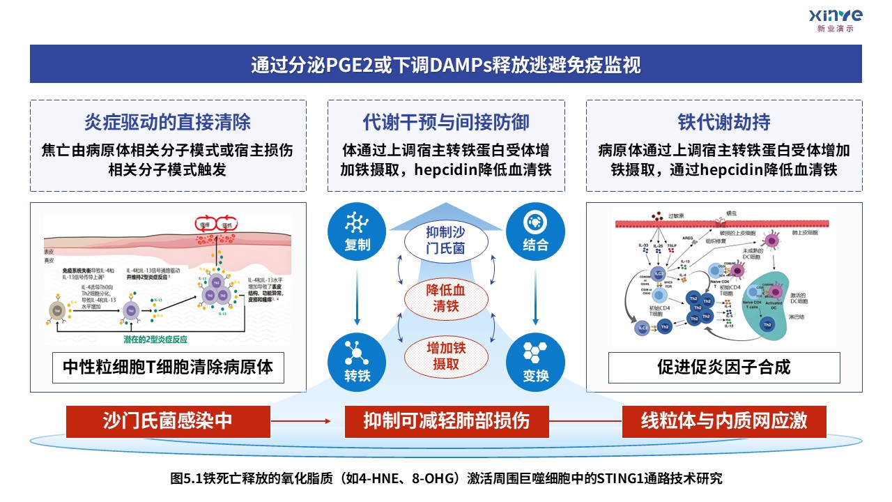 3-1损伤相关分子模式第5页预览图