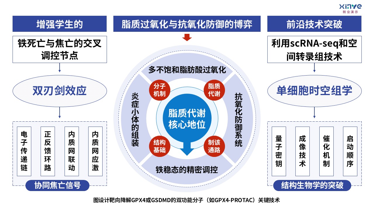 3-1损伤相关分子模式第6页预览图
