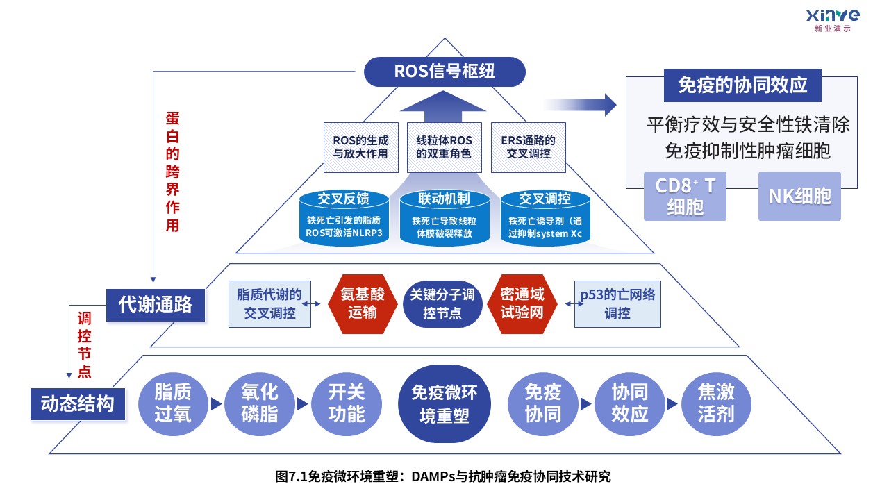 3-1损伤相关分子模式第7页预览图
