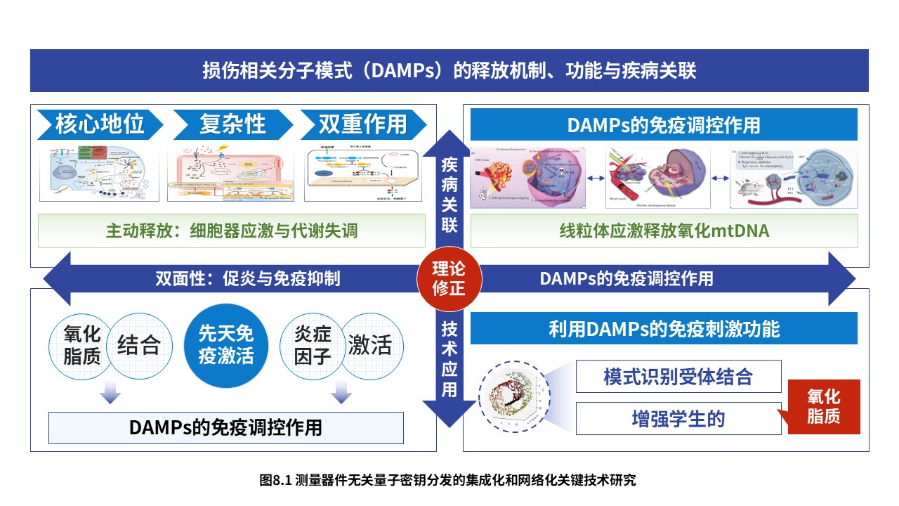 3-1损伤相关分子模式第8页预览图