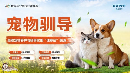 宠物训导