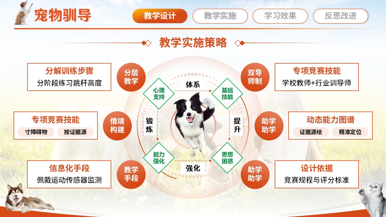 宠物训导第4页预览图