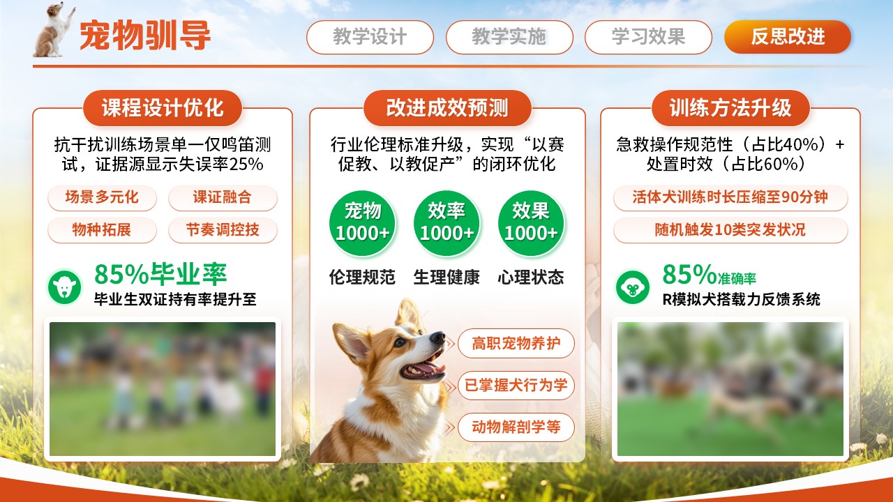 宠物训导第8页预览图