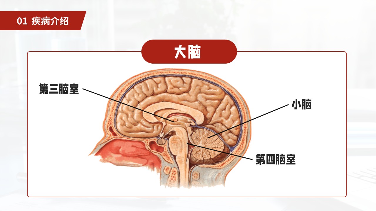 27-小脑扁桃体下疝畸形护理常规第7页预览