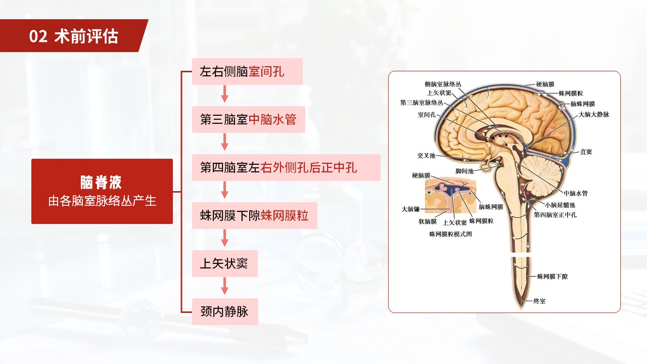 27-小脑扁桃体下疝畸形护理常规第18页预览