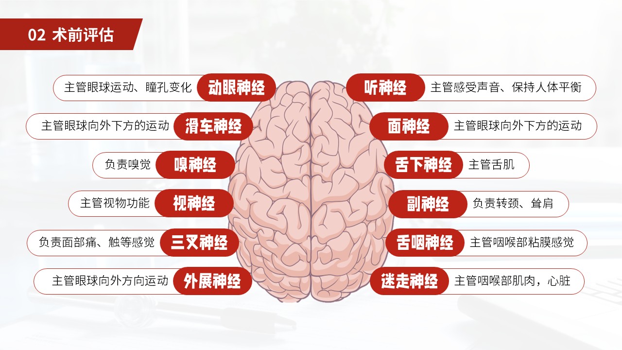 27-小脑扁桃体下疝畸形护理常规第19页预览