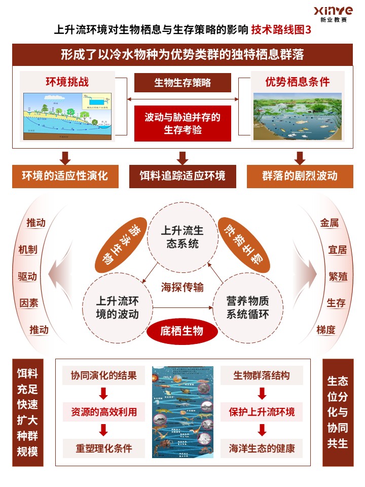 88-1技术路线图(上升流生态-棕色)第3页预览图