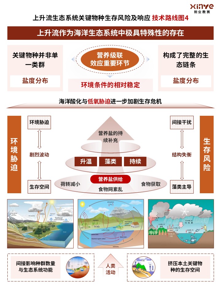 88-1技术路线图(上升流生态-棕色)第4页预览图