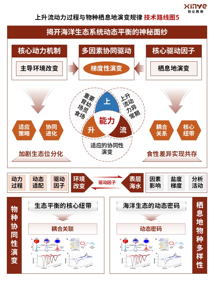 88-1技术路线图(上升流生态-棕色)第5页预览图