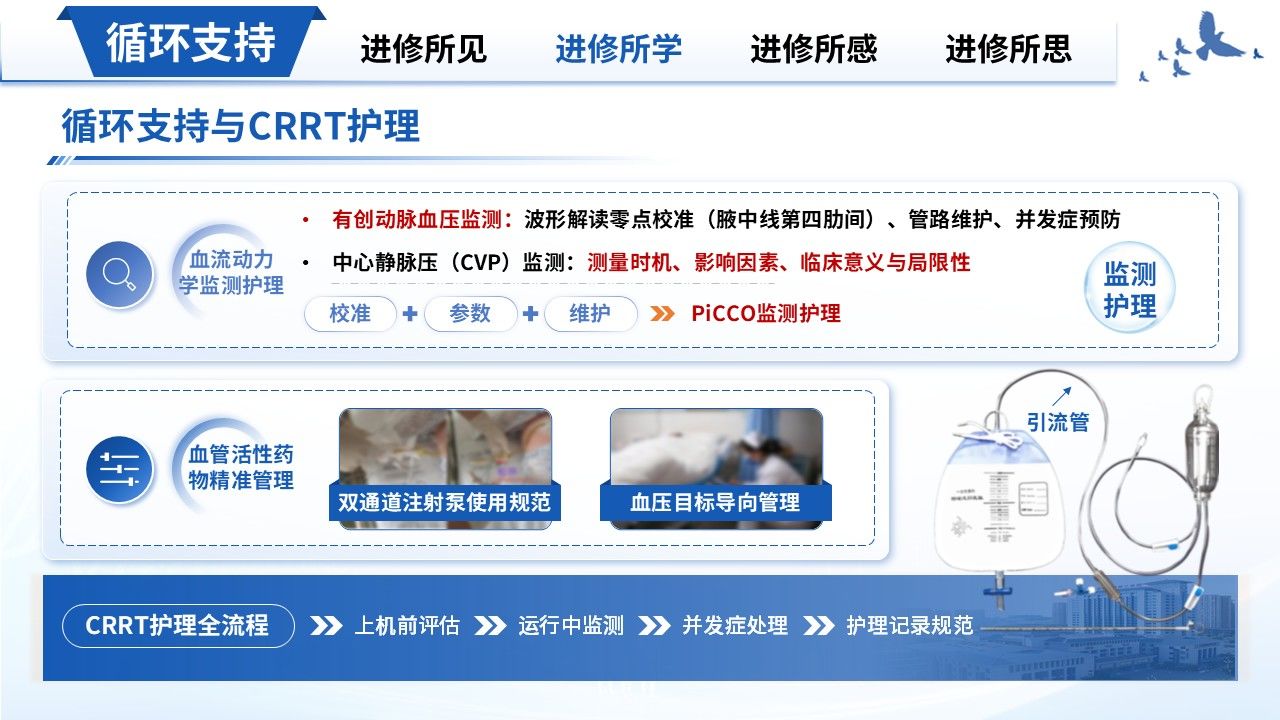 425期-进修汇报-ICU 重症专科护士进修汇报第8页预览