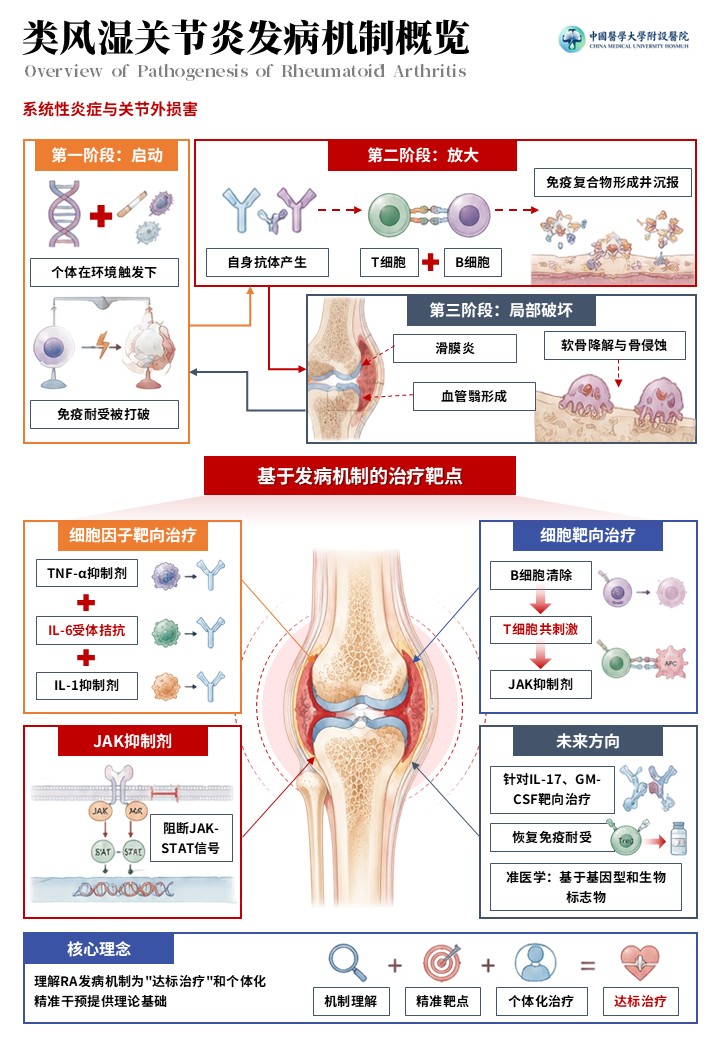 2期-科研绘图-内风湿关节炎发病机制图第6页预览