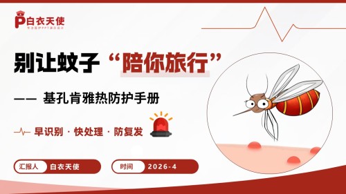84-基孔肯雅热防护手册