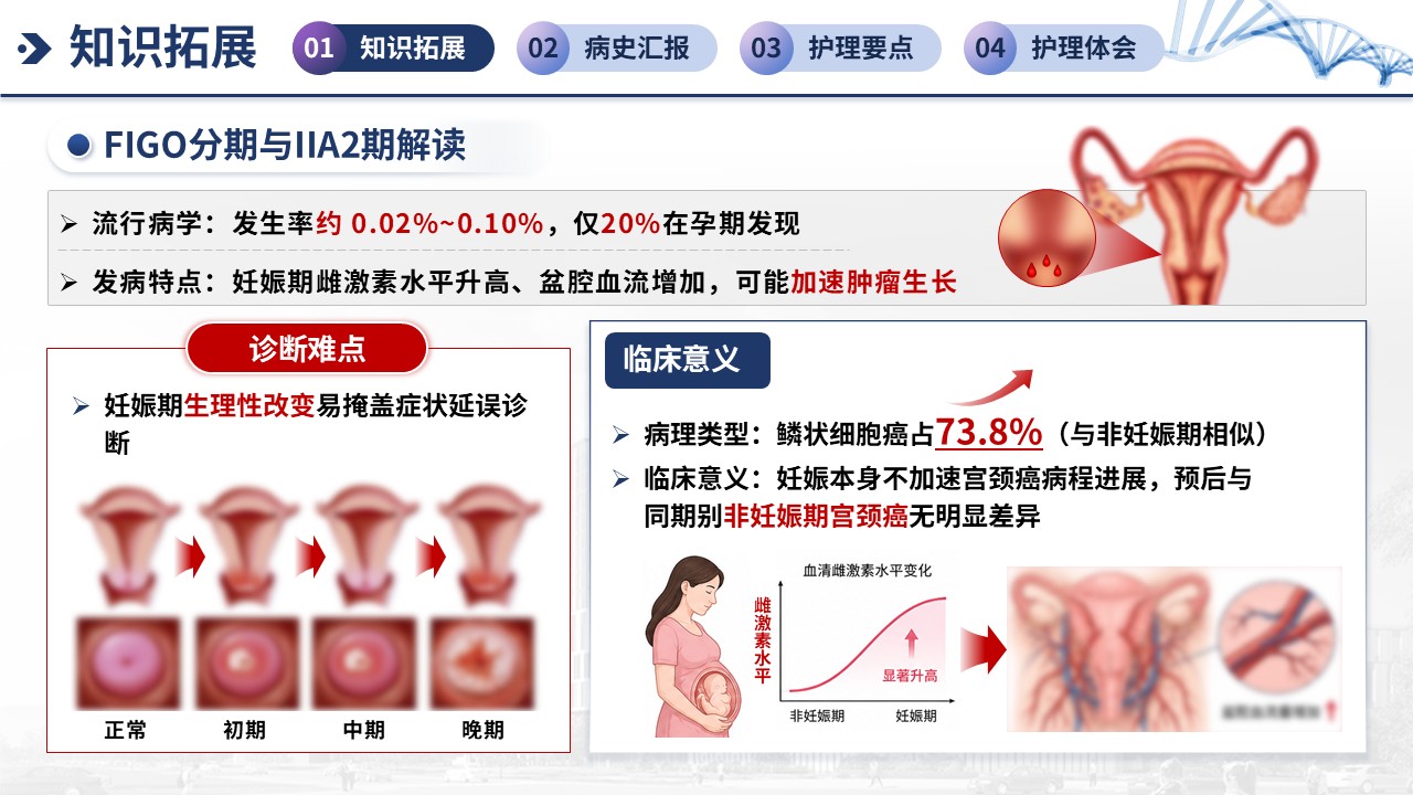382期-疑难病例讨论-一例妊娠期宫颈癌（IIA2期）新辅助化疗期间的护理第3页预览