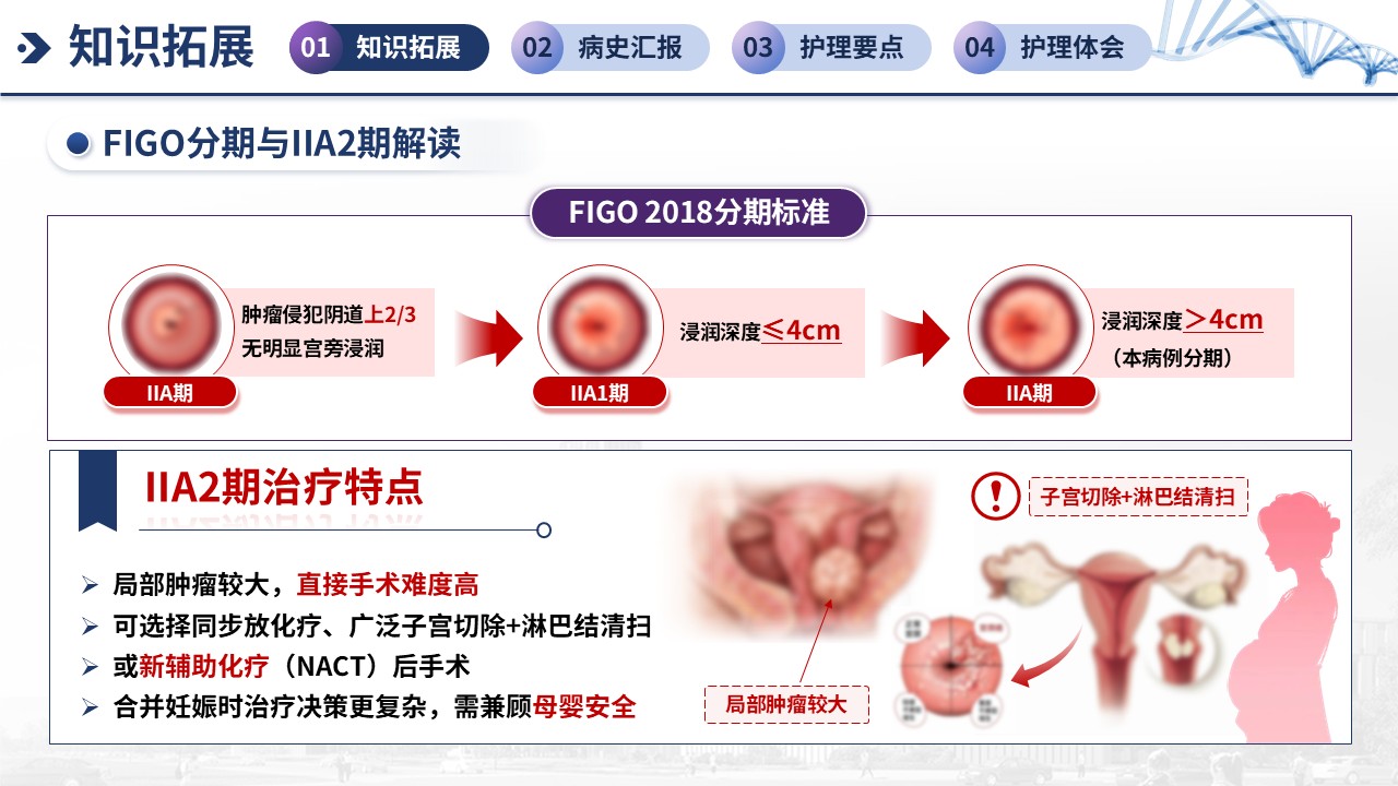 382期-疑难病例讨论-一例妊娠期宫颈癌（IIA2期）新辅助化疗期间的护理第4页预览