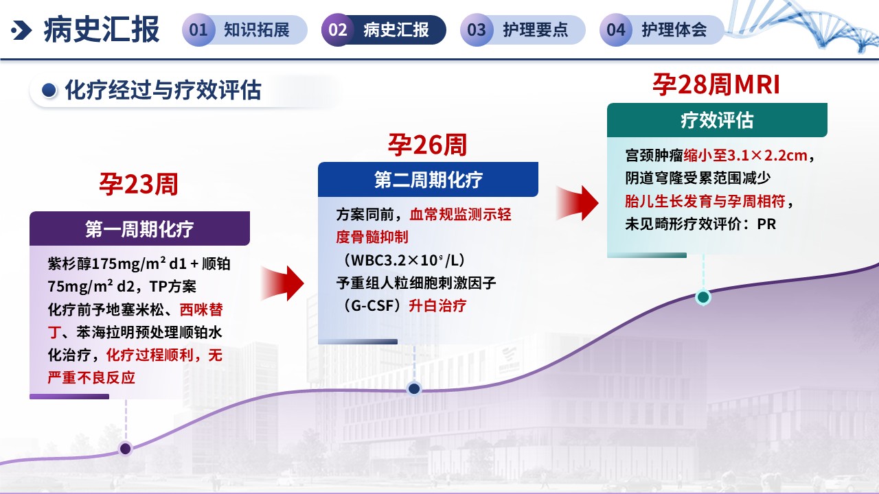 382期-疑难病例讨论-一例妊娠期宫颈癌（IIA2期）新辅助化疗期间的护理第9页预览