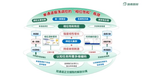 科研架构图(神经元双通道振荡调控虚构-绿色)