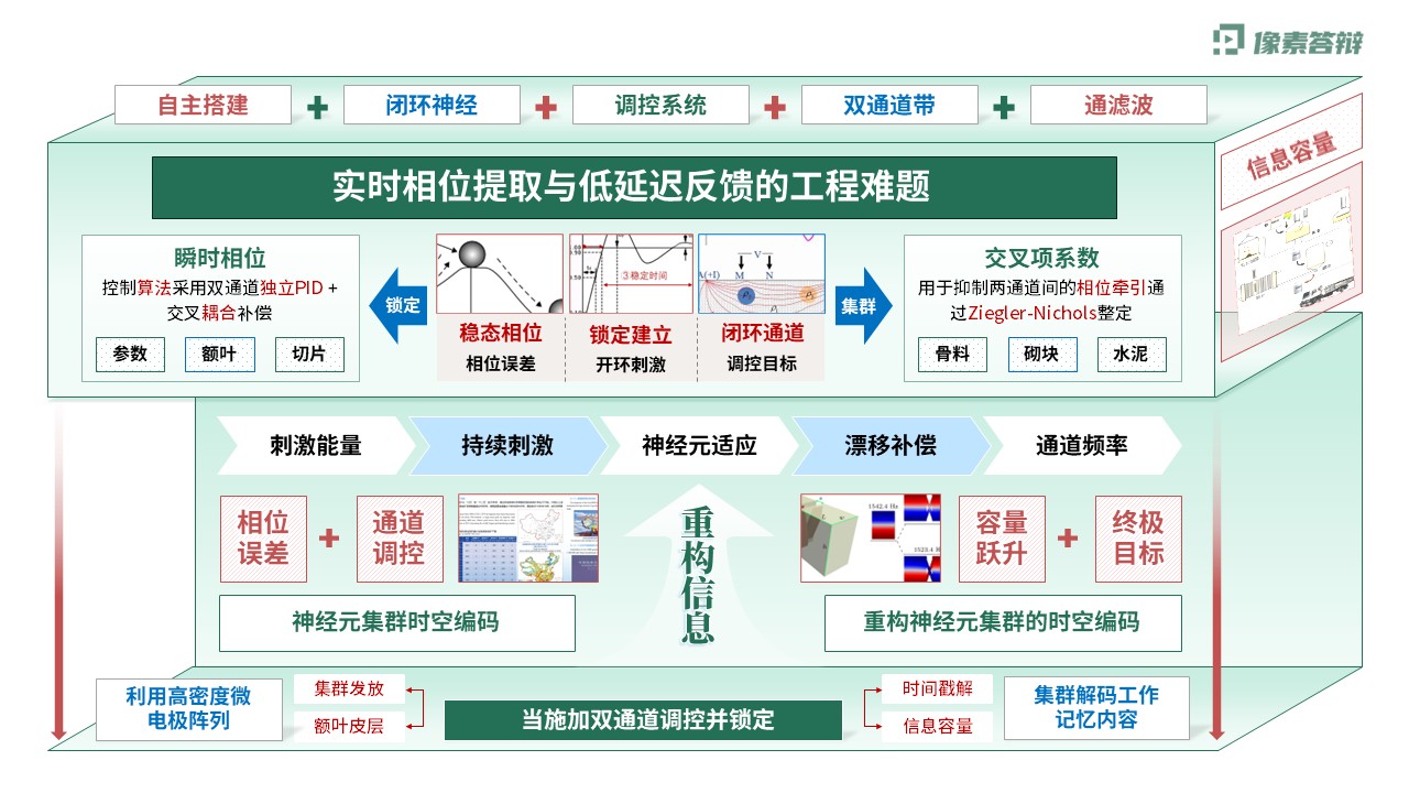 科研架构图（神经元双通道振荡调控虚构-绿色)第4页预览图