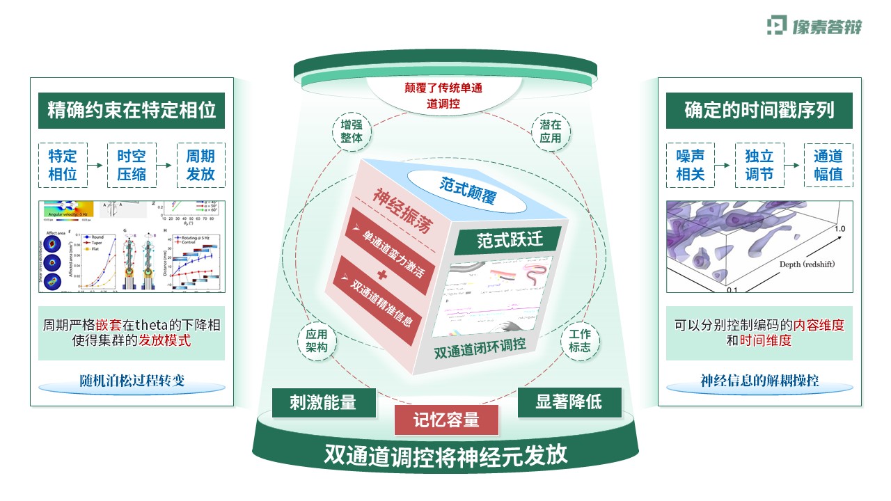 科研架构图（神经元双通道振荡调控虚构-绿色)第5页预览图