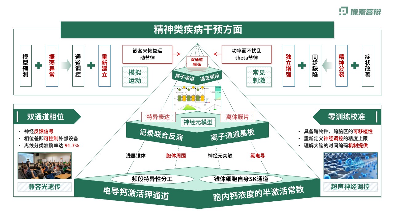 科研架构图（神经元双通道振荡调控虚构-绿色)第6页预览图