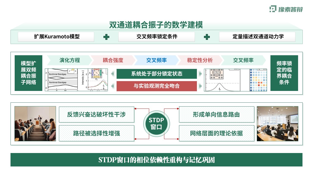 科研架构图（神经元双通道振荡调控虚构-绿色)第8页预览图