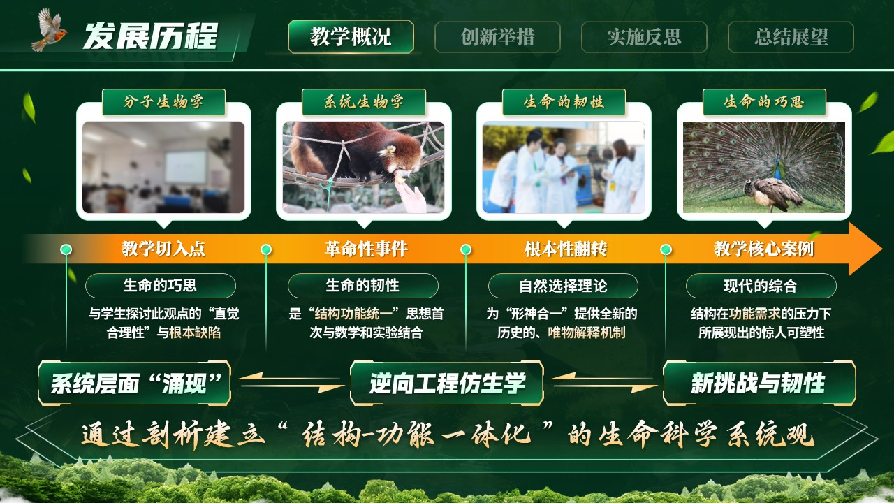 《形神合一》青教赛第5页预览图