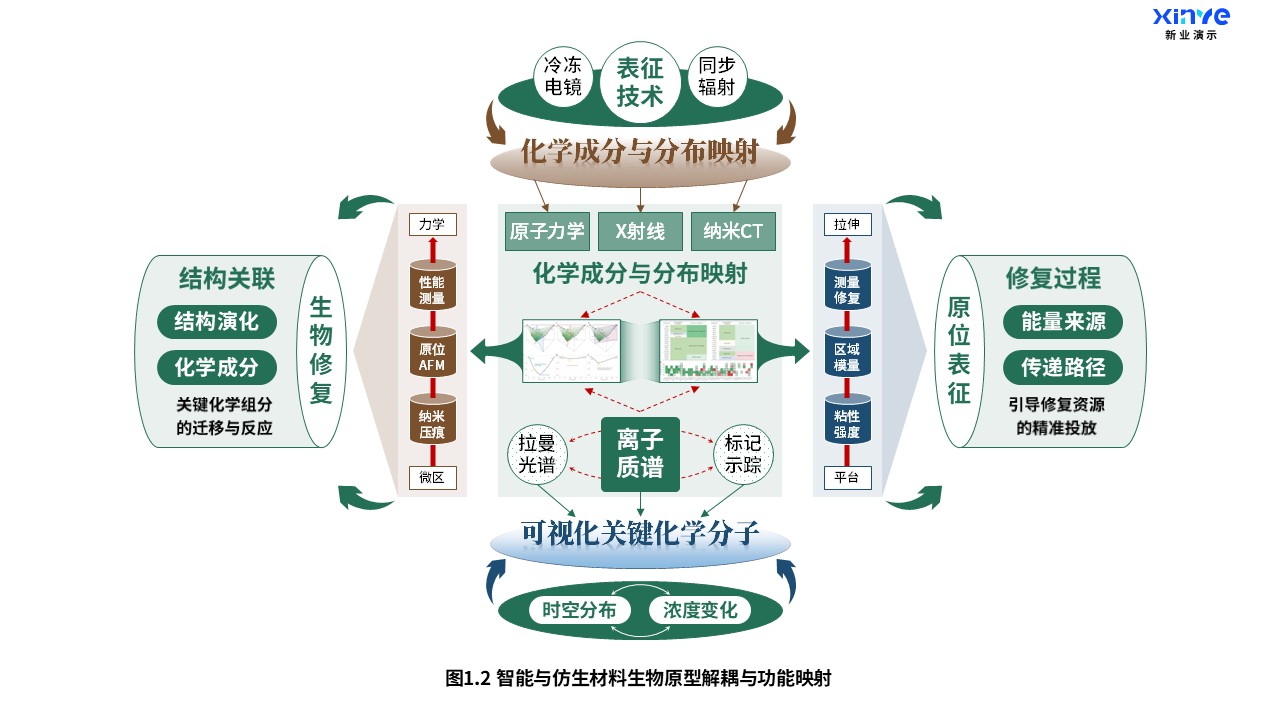 25-1科研架构图（智能与仿生材料-绿棕蓝）第2页预览图