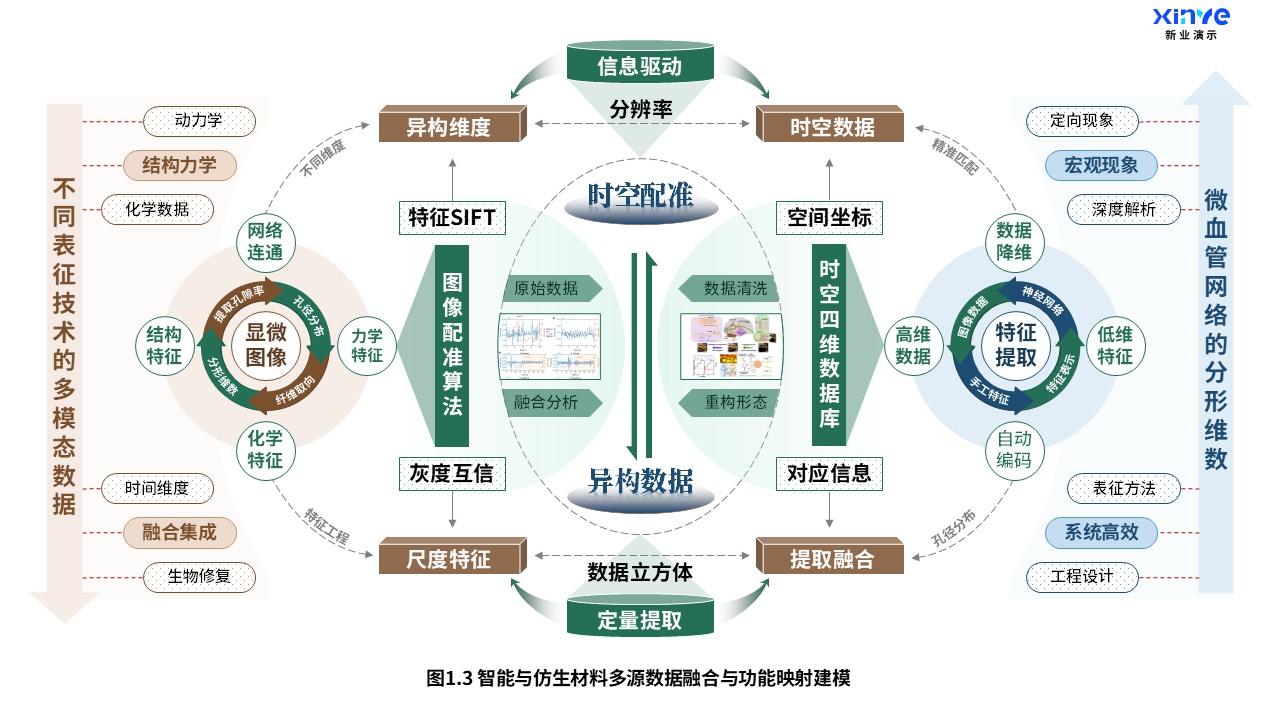 25-1科研架构图（智能与仿生材料-绿棕蓝）第3页预览图