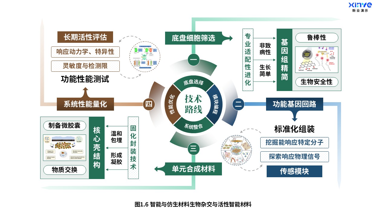 25-1科研架构图（智能与仿生材料-绿棕蓝）第6页预览图