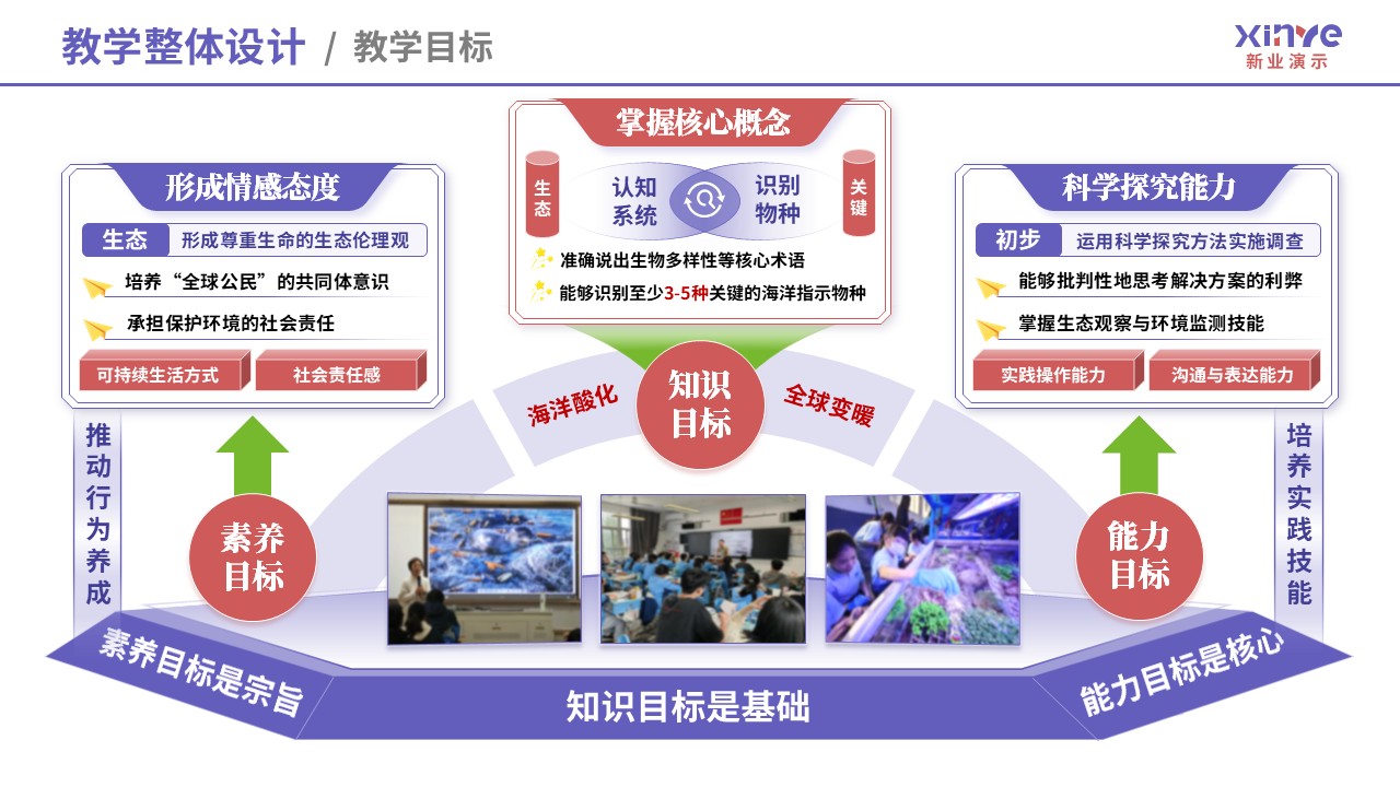 教学实施报告（海洋生态-紫粉绿）第1页预览图