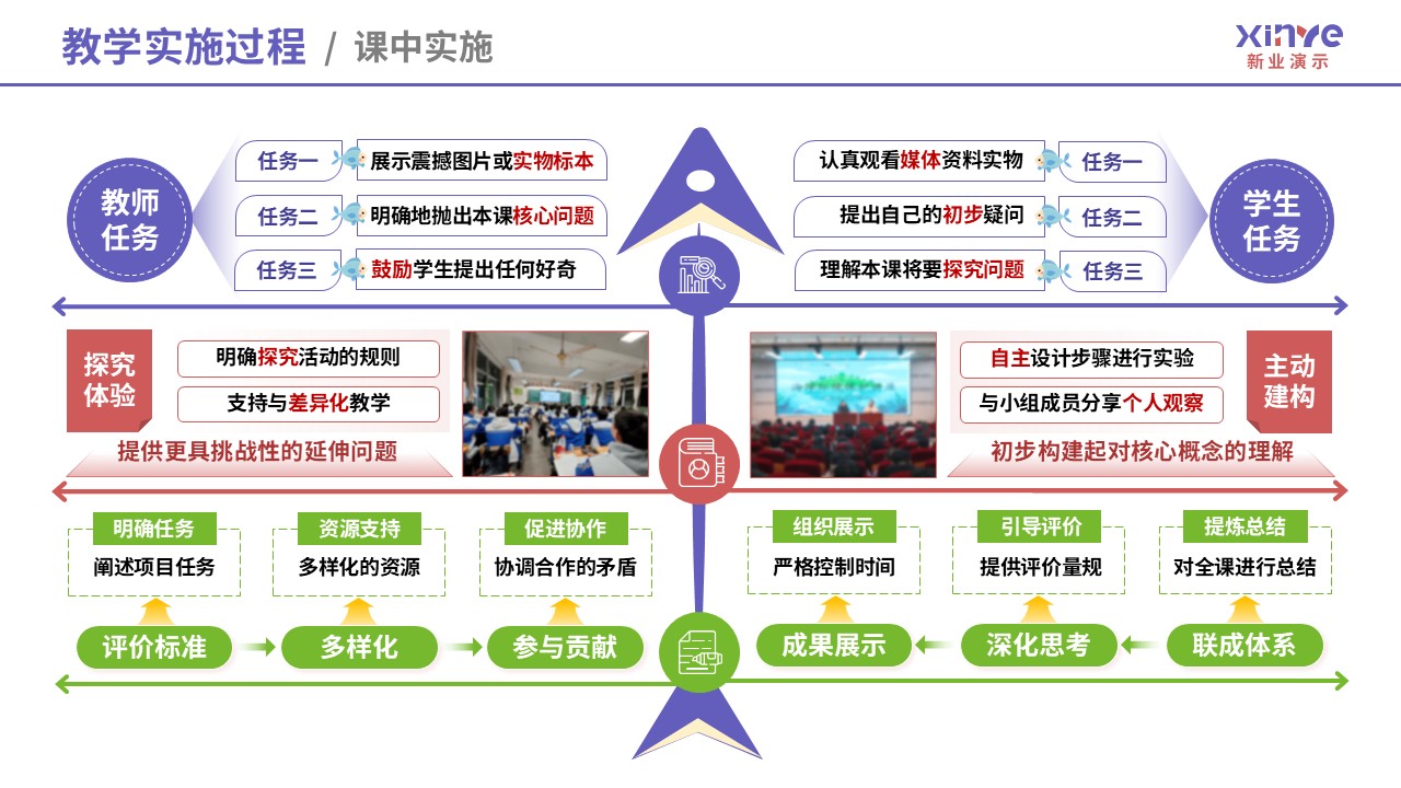 教学实施报告（海洋生态-紫粉绿）第5页预览图