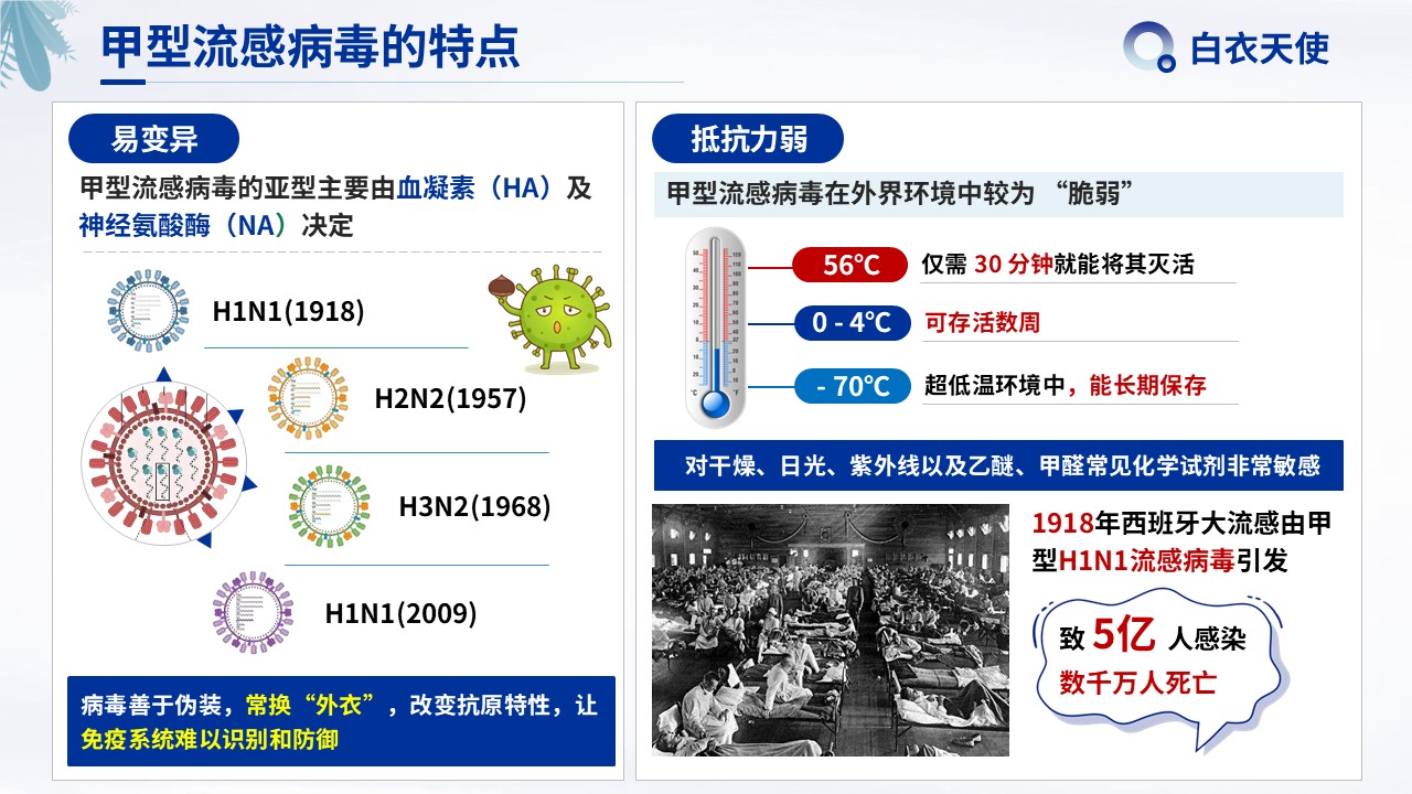 16-警惕甲流健康宣教第4页预览