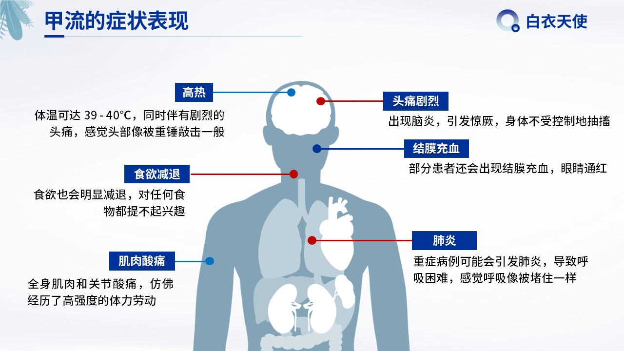16-警惕甲流健康宣教第6页预览