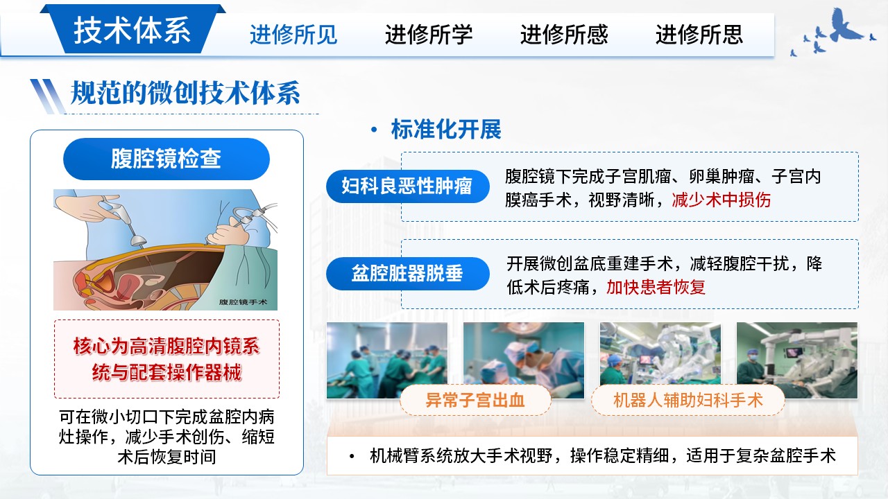 478期-进修汇报-妇科进修工作汇报第6页预览
