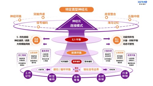 49-2科研绘图(医科-紫橙)