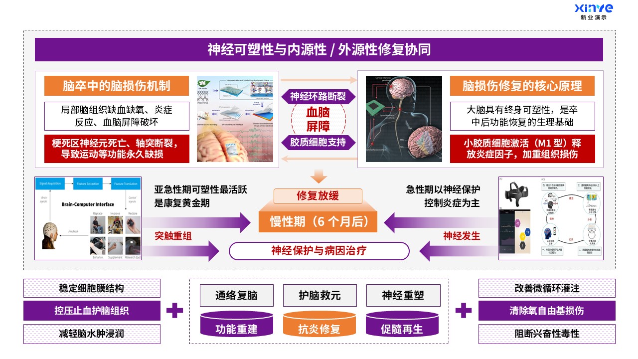 49-2科研绘图（医科-紫橙）第3页预览图