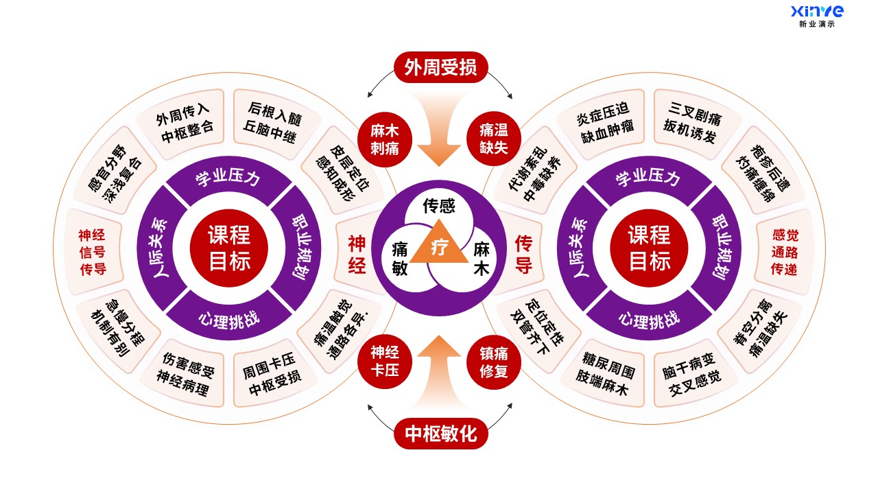 49-2科研绘图（医科-紫橙）第7页预览图