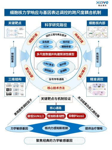 54-2技术路线图(力学生物学)红蓝