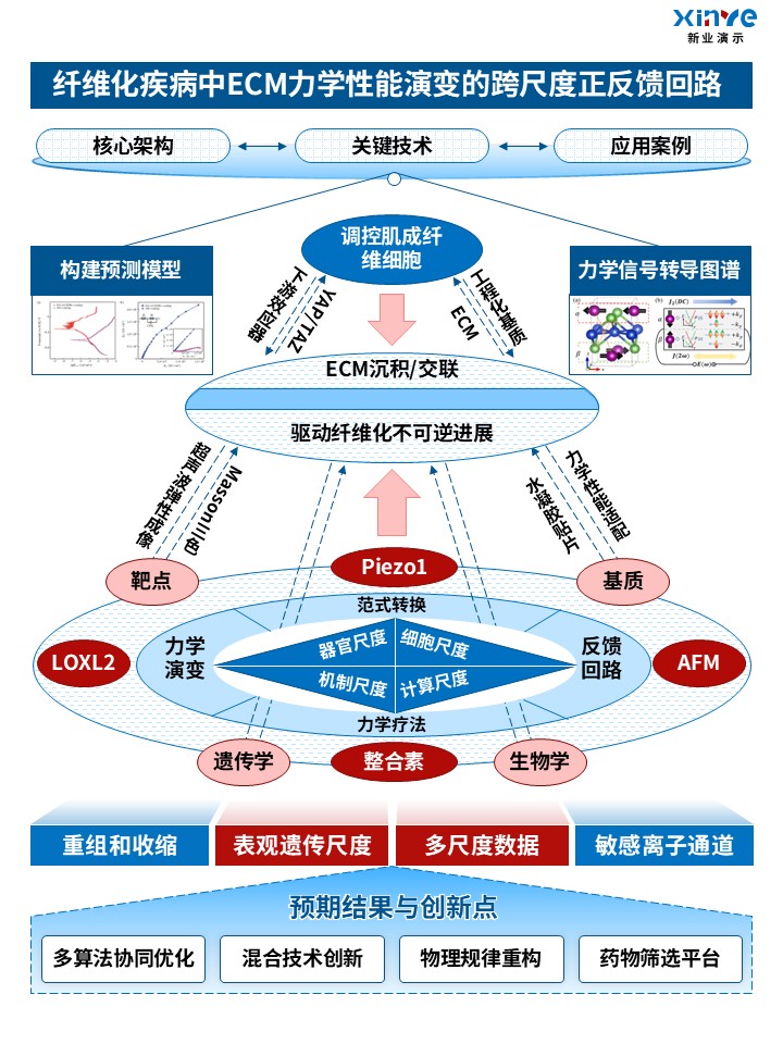54-2技术路线图(力学生物学)红蓝第2页预览图