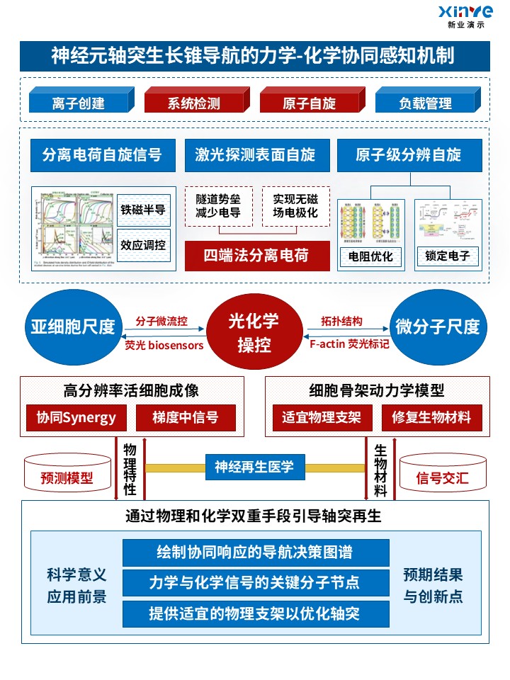 54-2技术路线图(力学生物学)红蓝第4页预览图