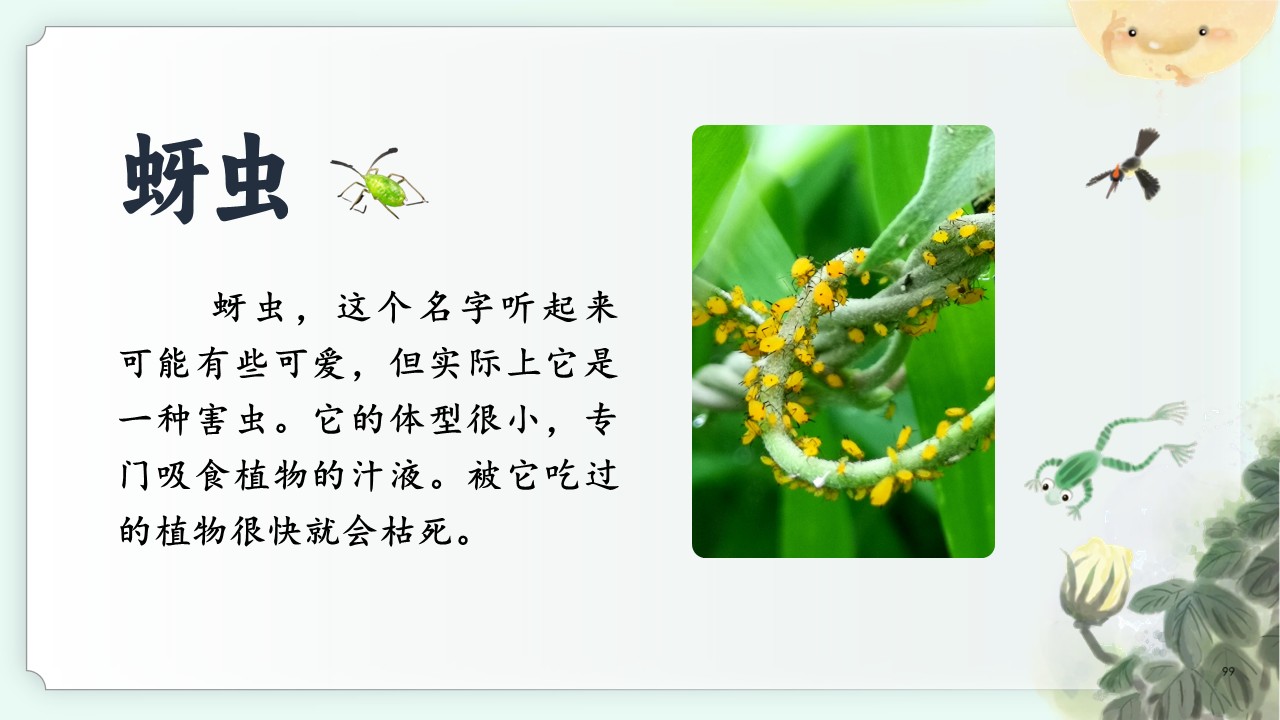 《棉花姑娘》第17页预览图