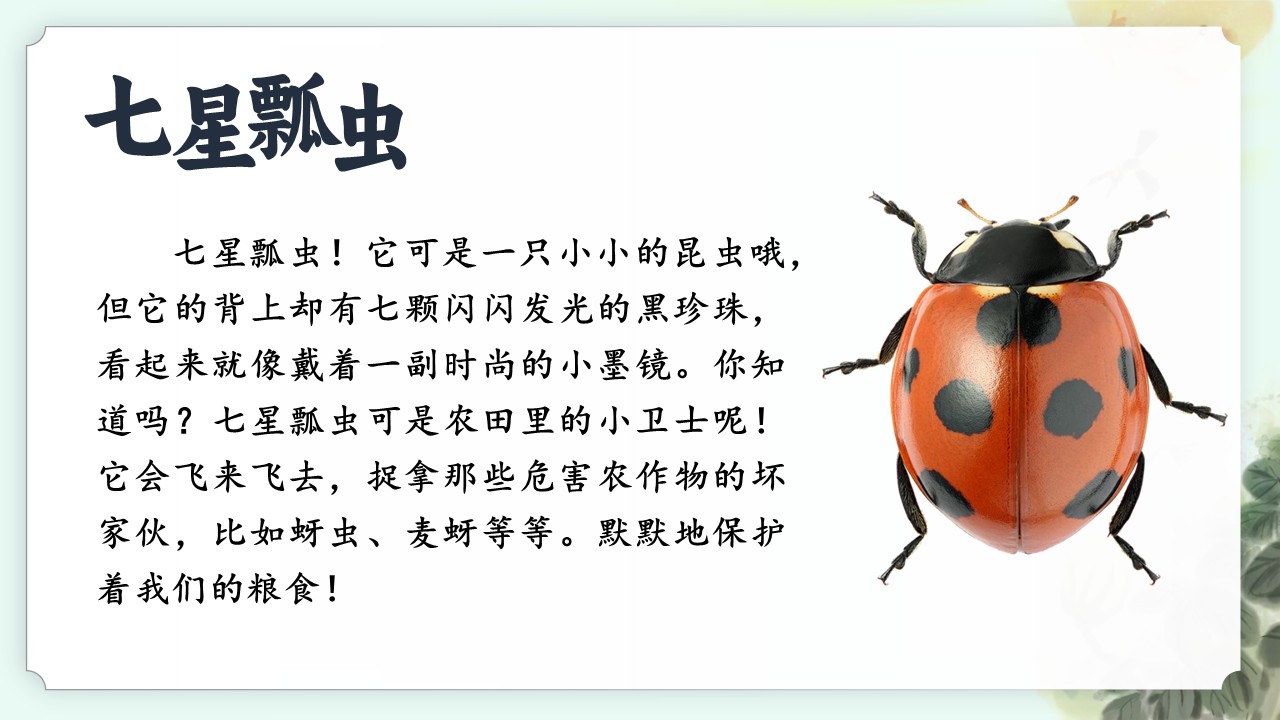 《棉花姑娘》第41页预览图