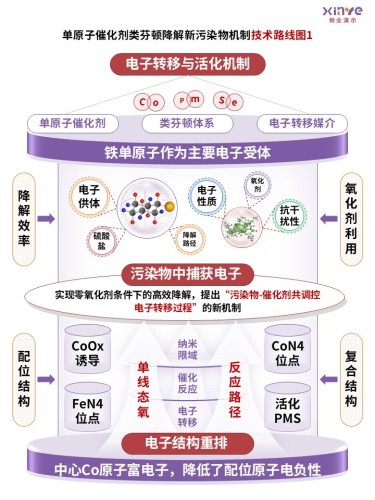 55-2技术路线图(高级氧化法处理水中有机污染物-紫红黄)