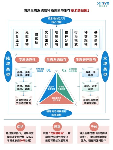 40-1技术路线图(海洋生态系统-蓝粉绿)