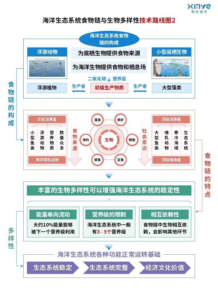 40-1技术路线图（海洋生态系统-蓝粉绿）第2页预览图