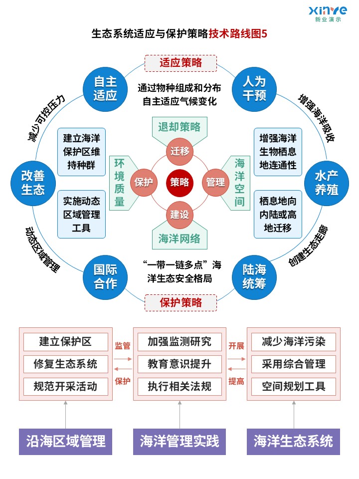 40-1技术路线图（海洋生态系统-蓝粉绿）第5页预览图