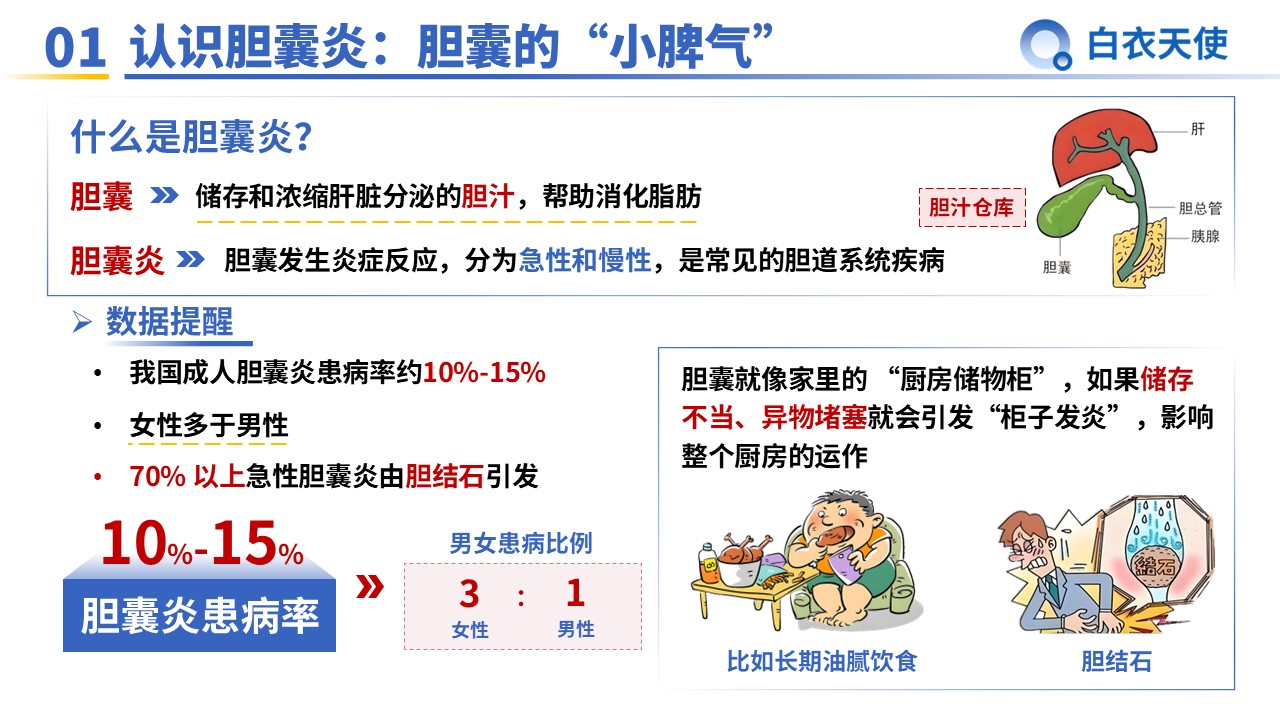 35-胆囊炎健康宣教第3页预览